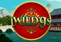 Wild 9s Slot Review